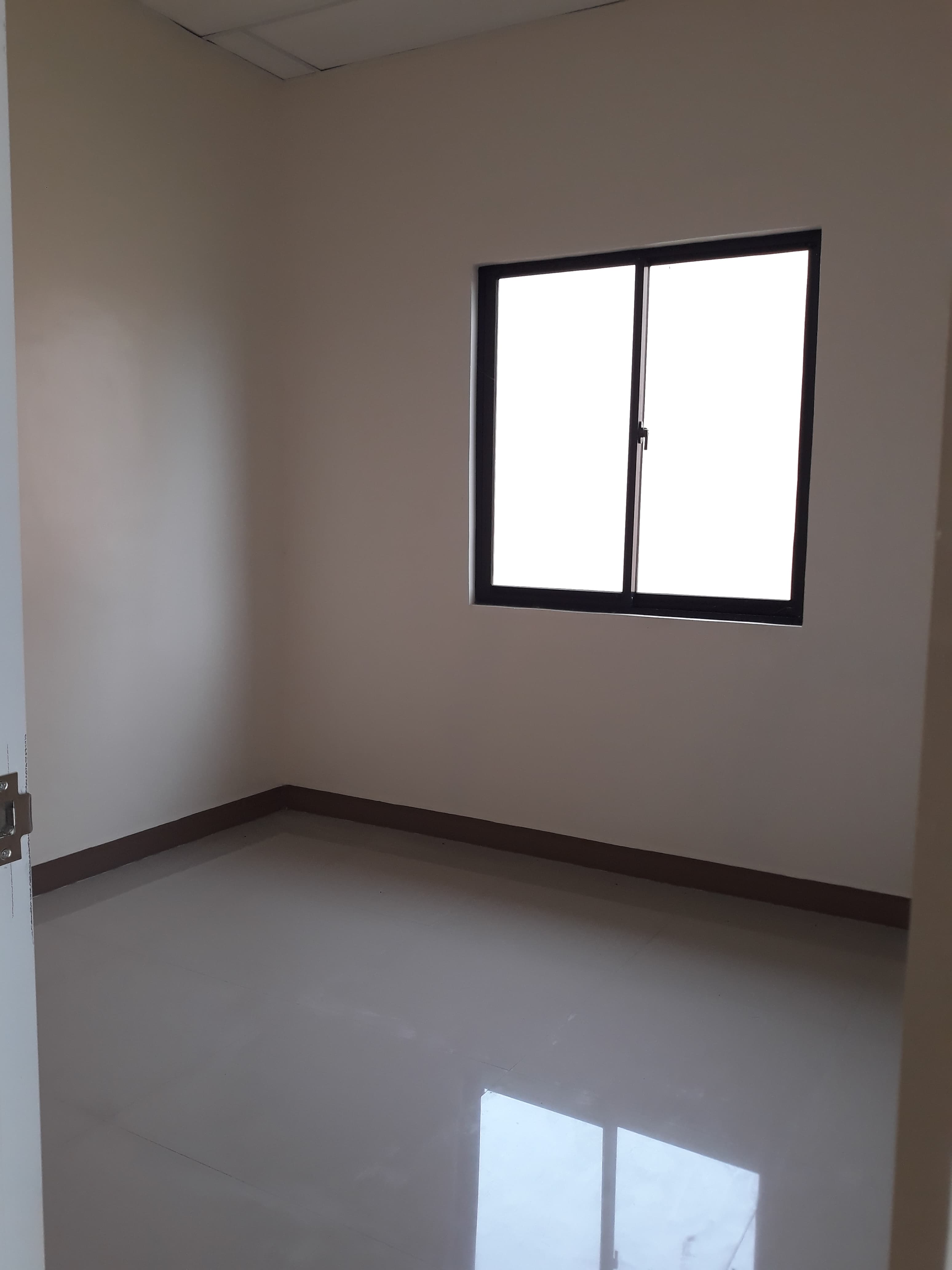 Vivienne Heights for Assume - photo 4