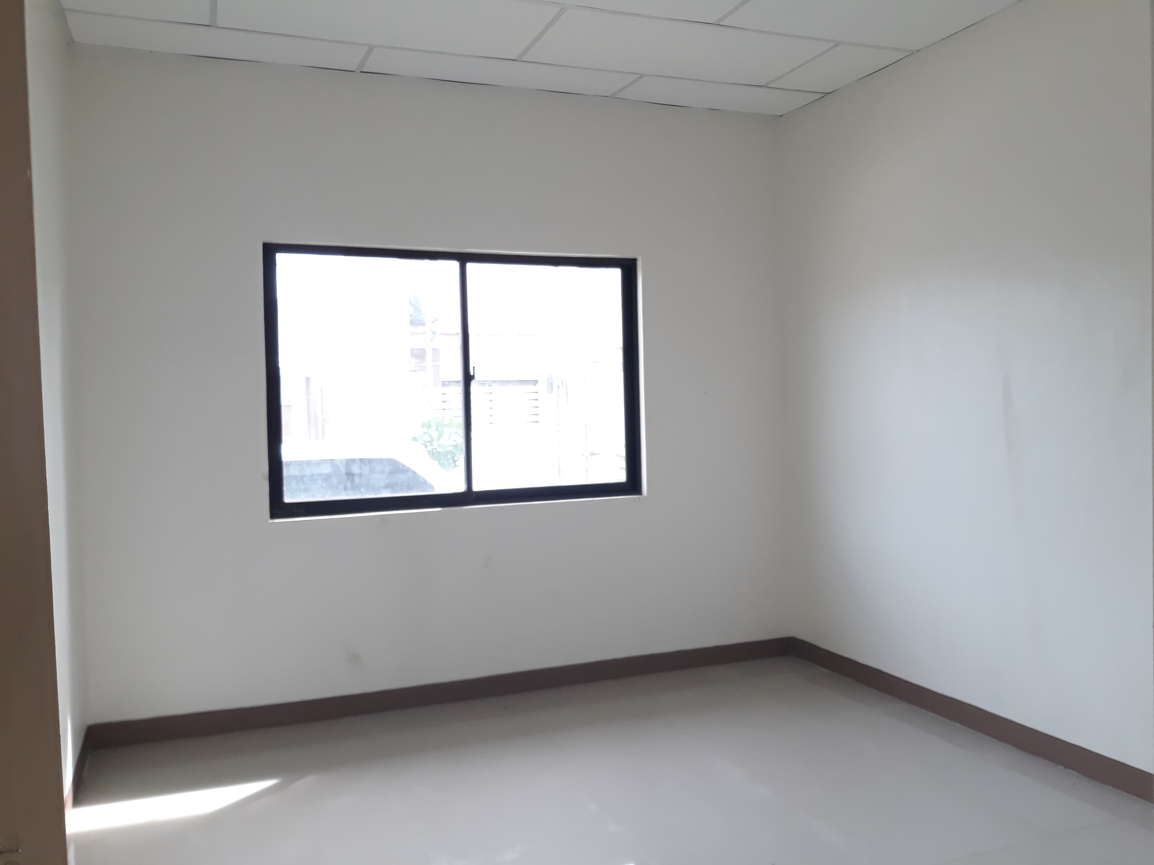 Vivienne Heights for Assume - photo 5