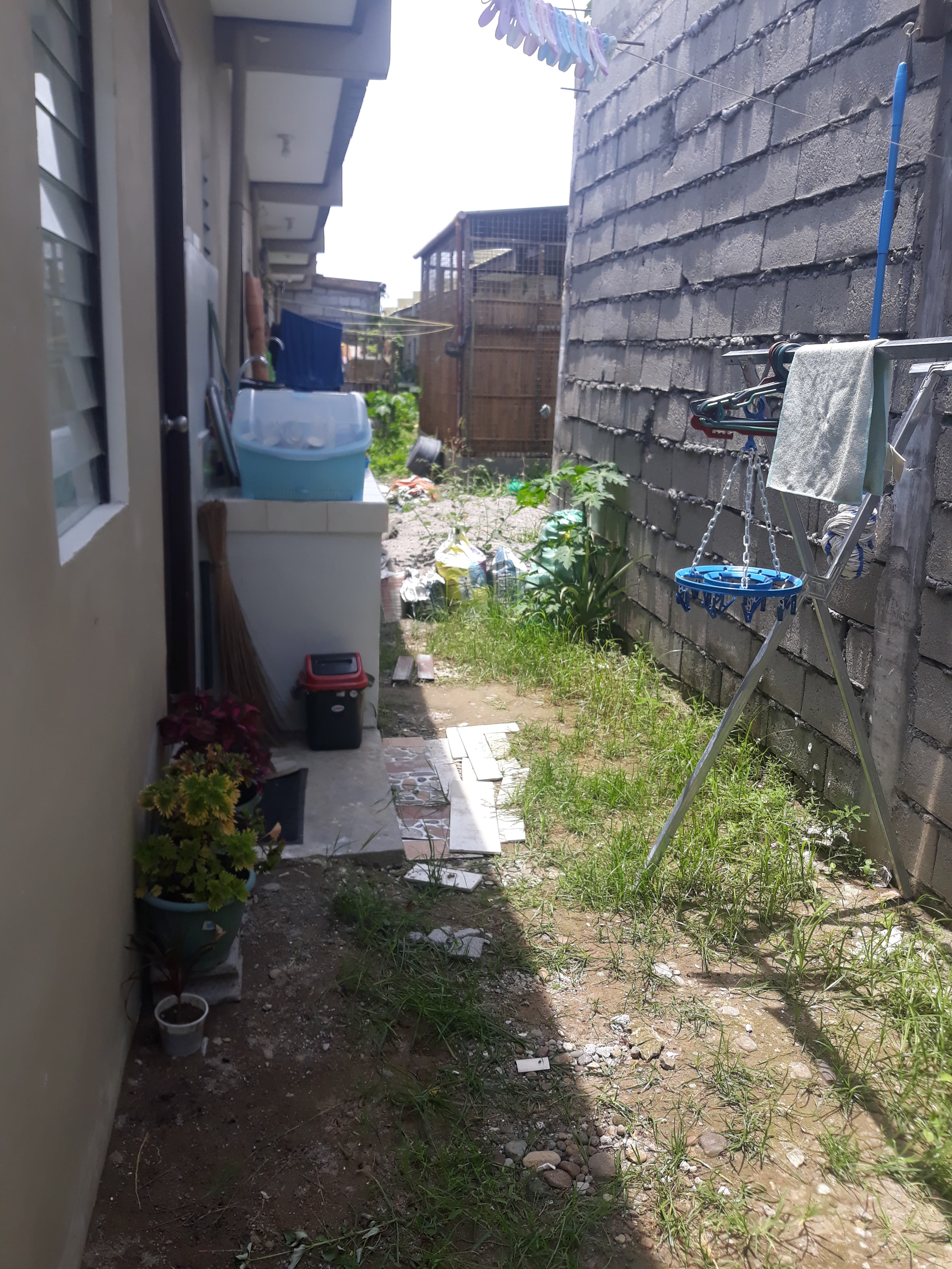 Bria Homes for Assume - photo 4