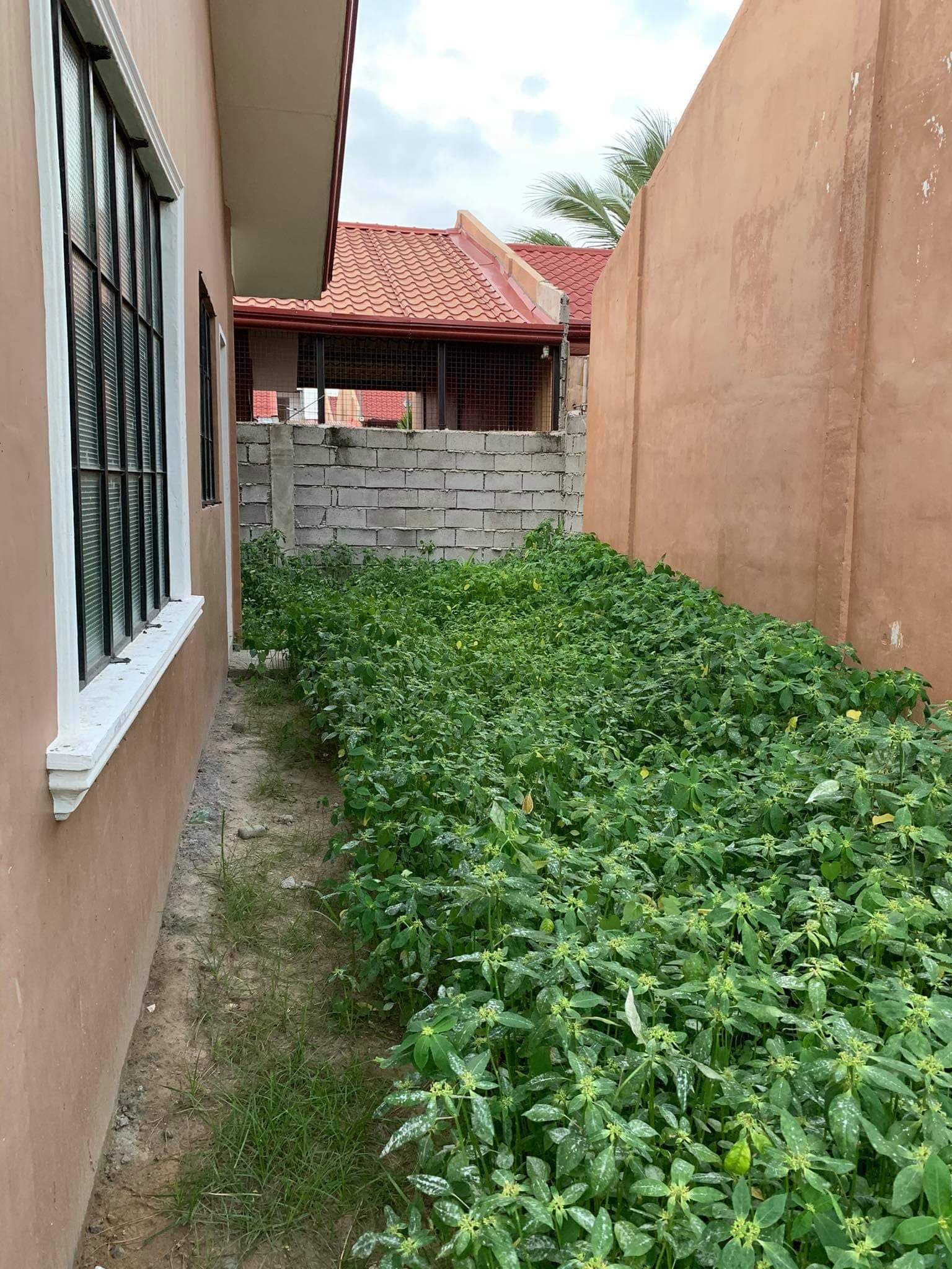 Agan North Phase 4 for assume - photo 2