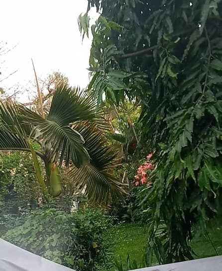 Northgate Residences