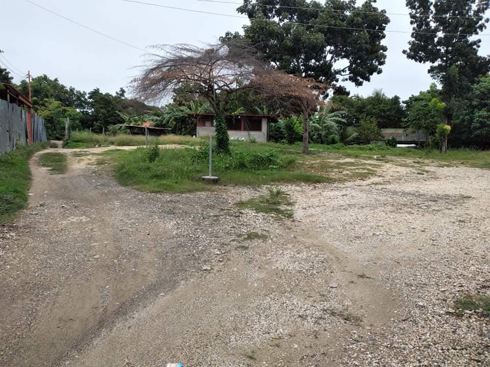 Lot for Sale - photo 1