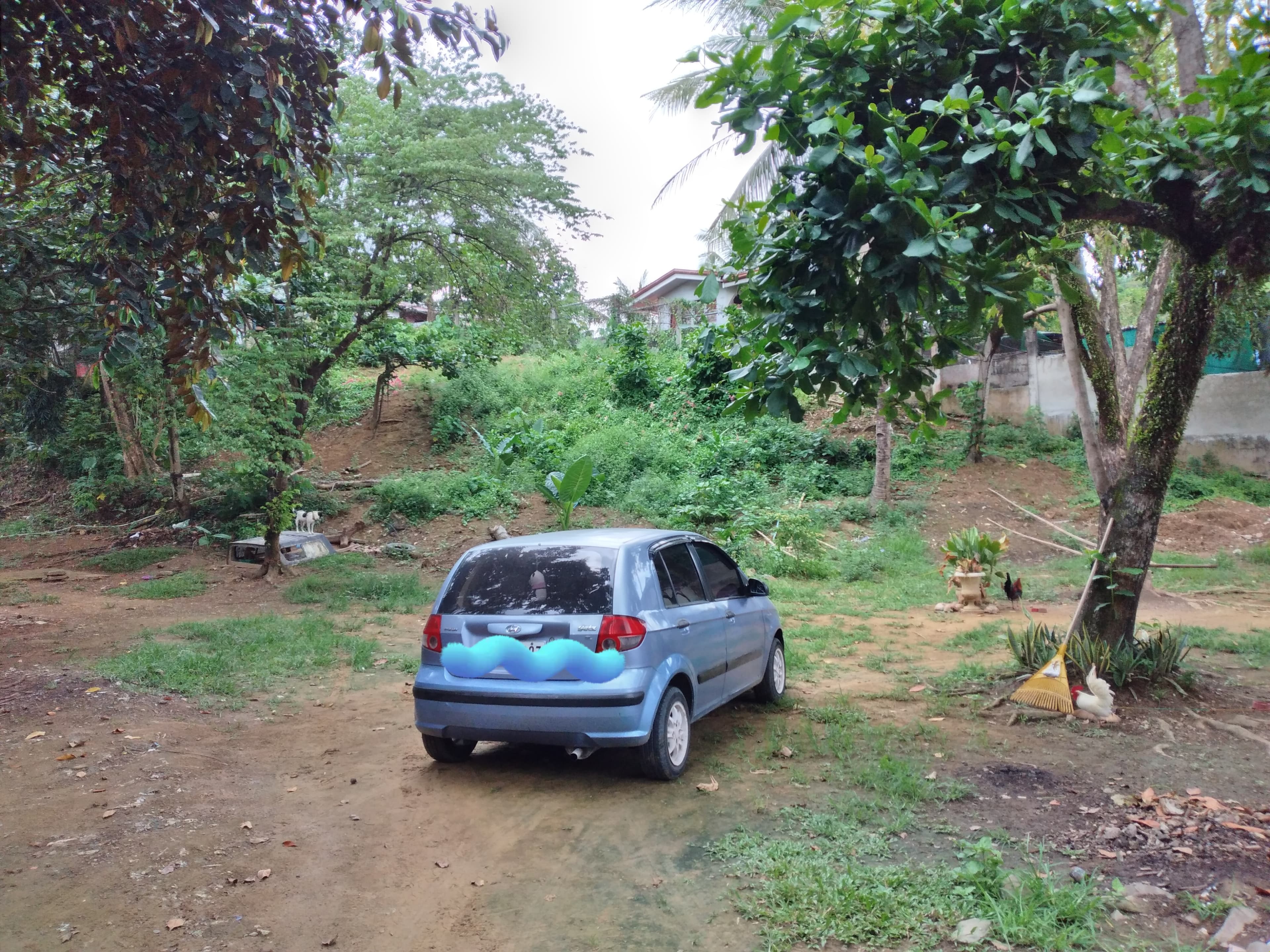 Lot only for Sale - photo 2