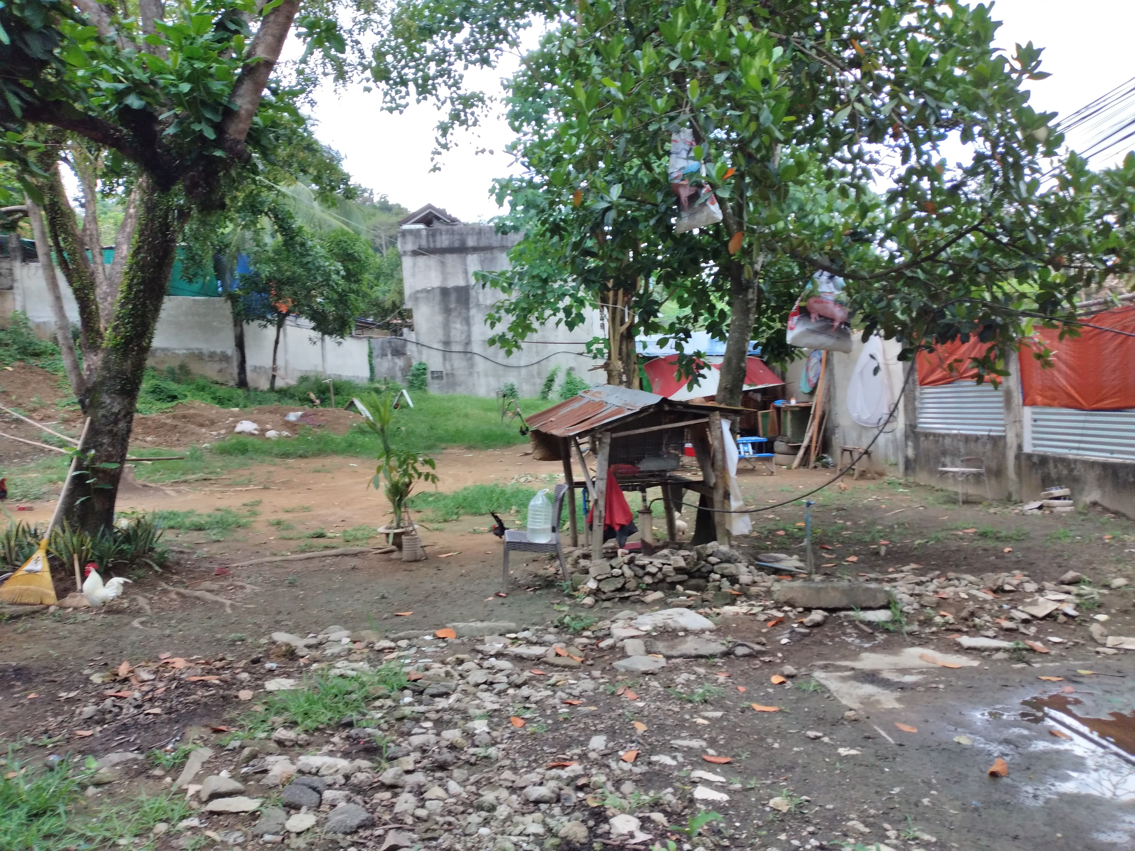 Lot only for Sale - photo 4