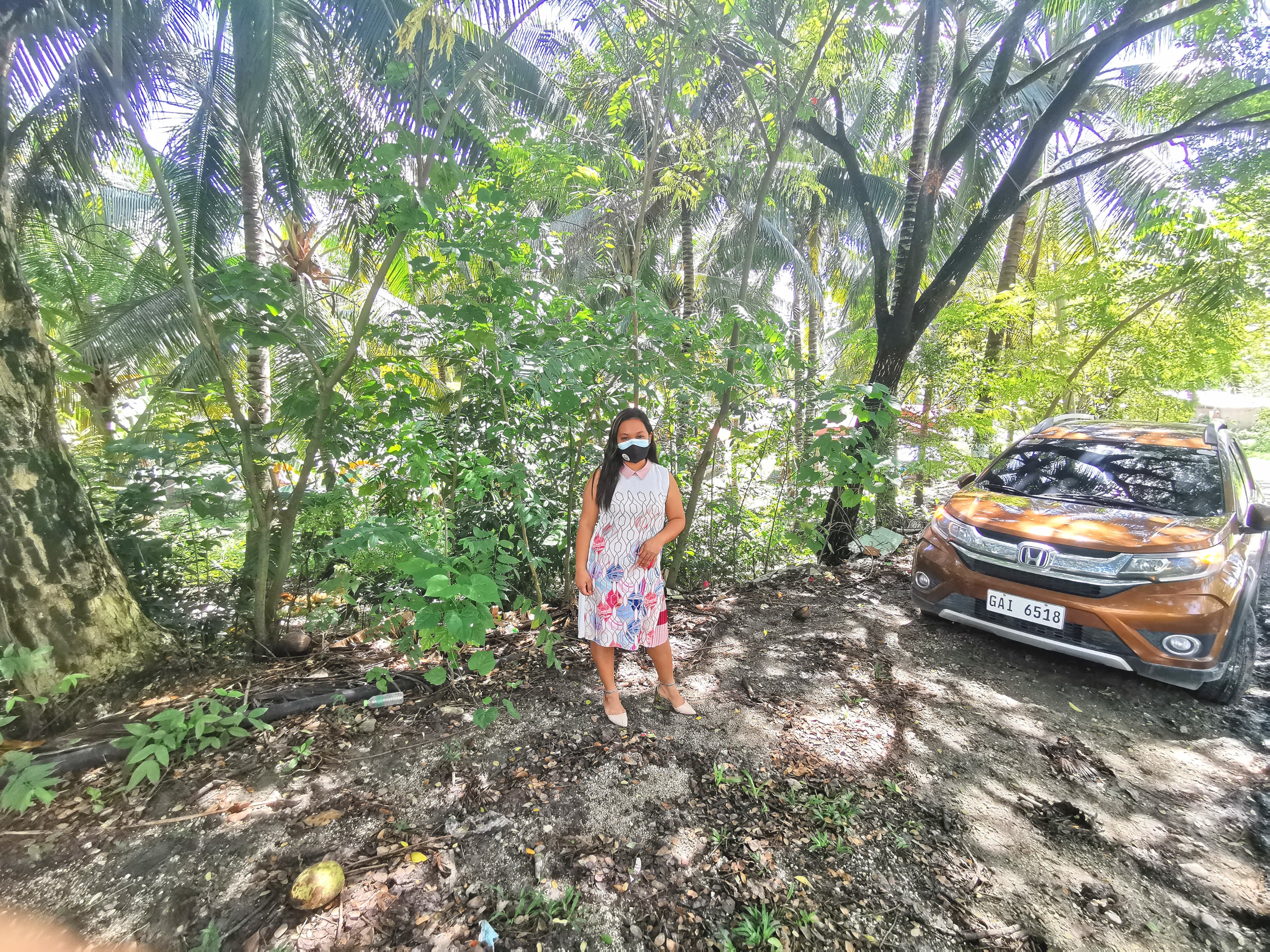 Lot for Sale in Argao - photo 2