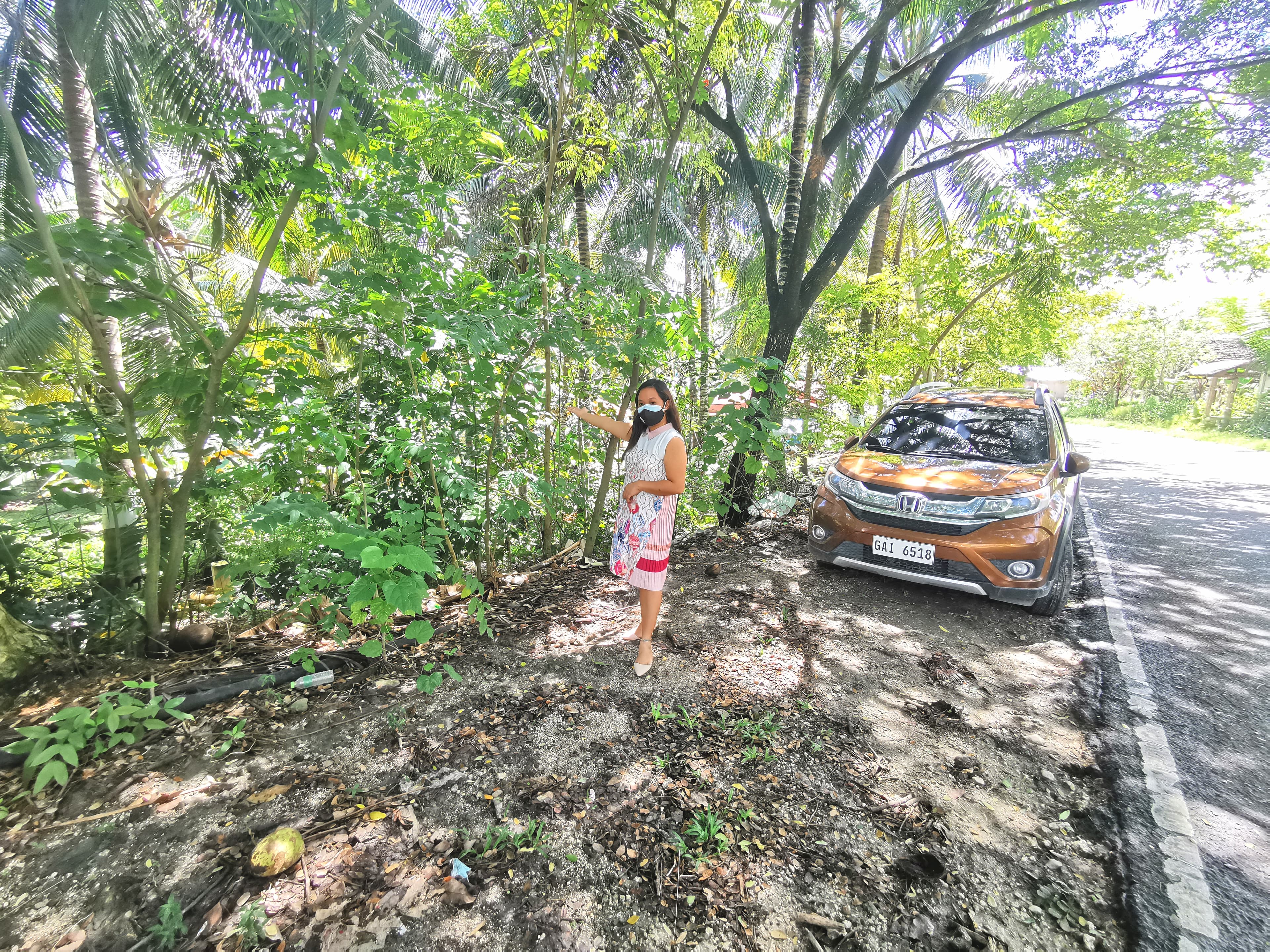 Lot for Sale in Argao