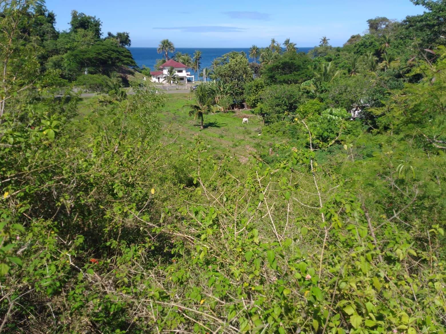 Original Certificate of Title - photo 4