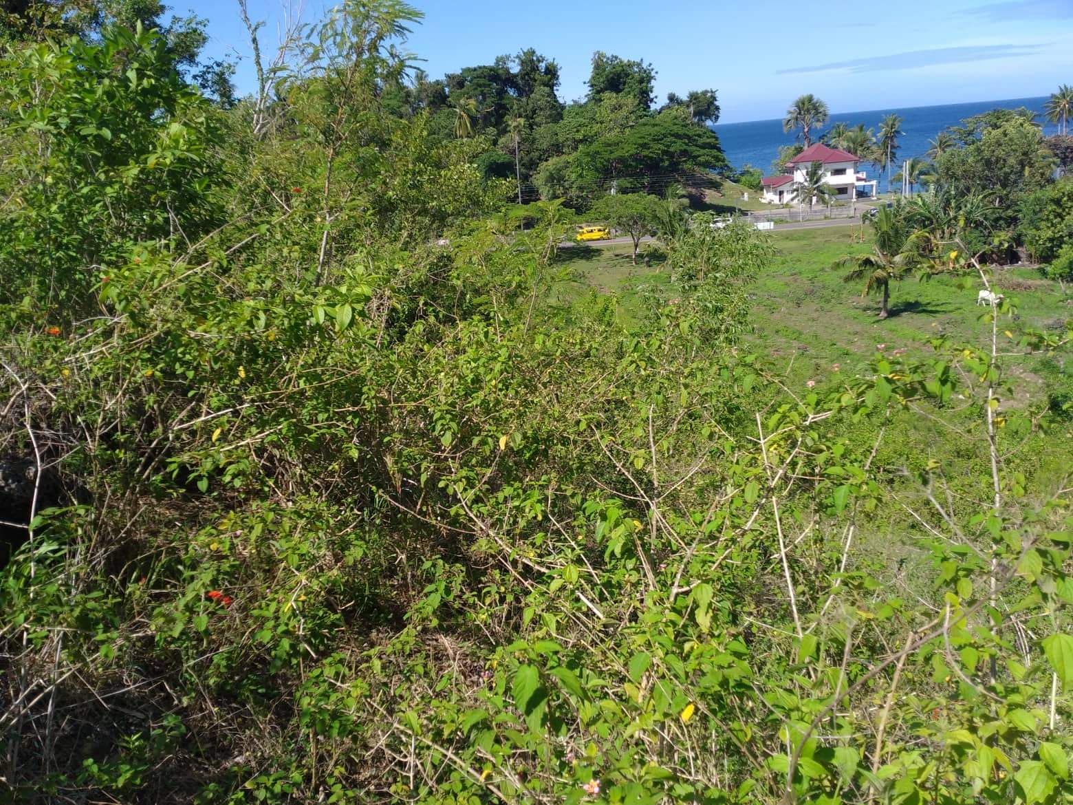 Original Certificate of Title - photo 2