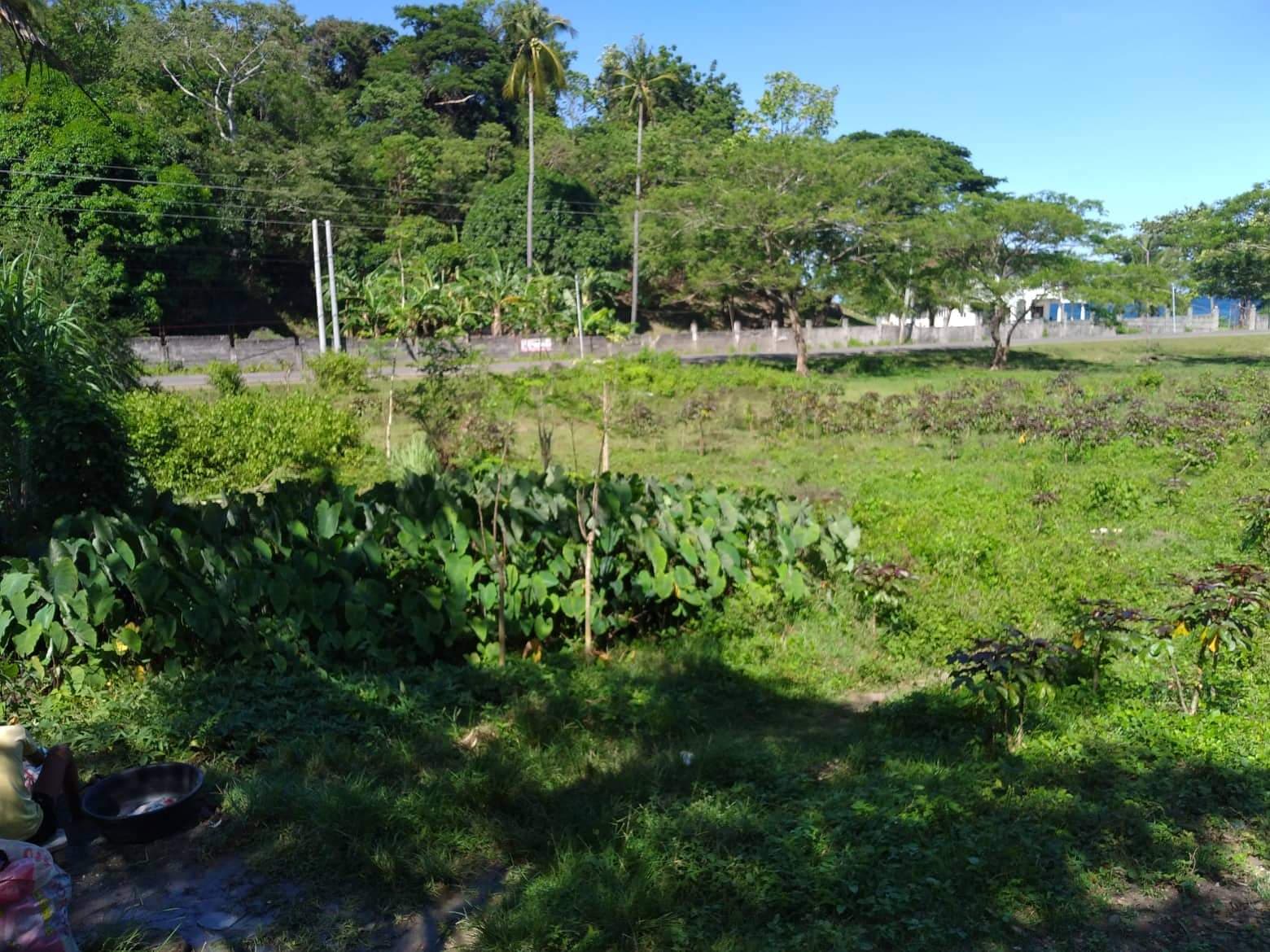 Original Certificate of Title - photo 6