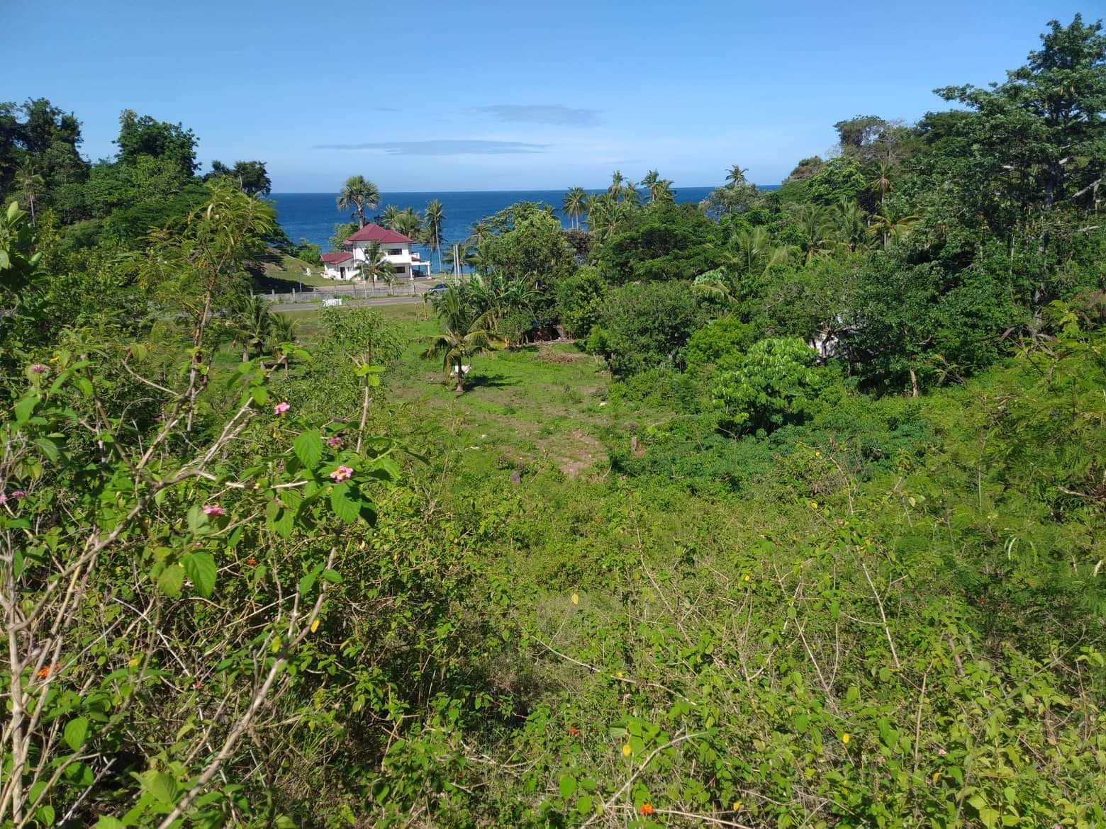 Original Certificate of Title