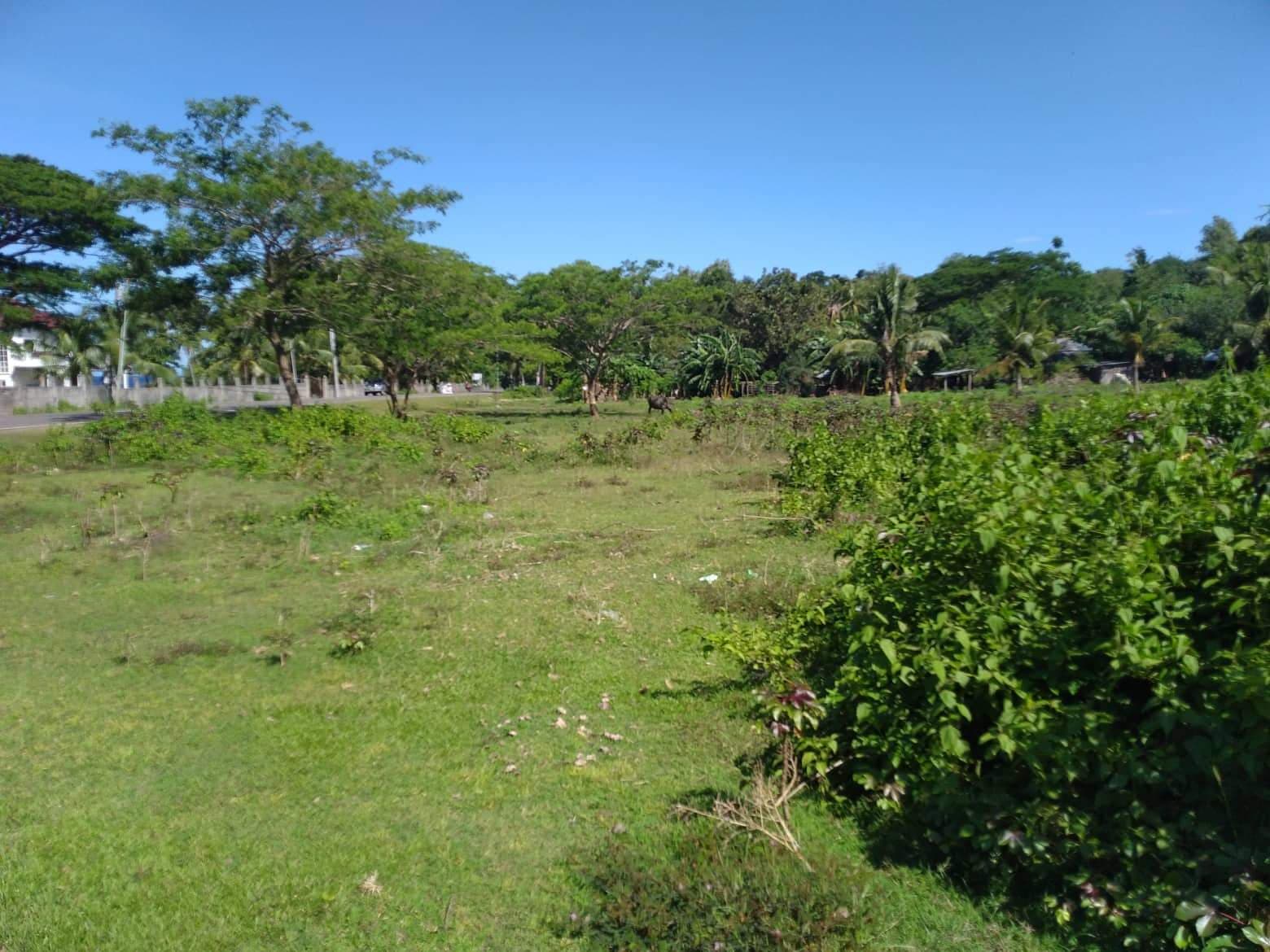 Original Certificate of Title - photo 5