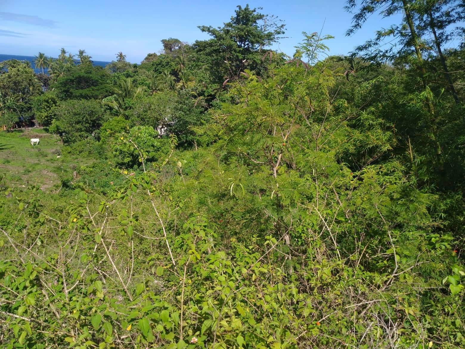 Original Certificate of Title - photo 3