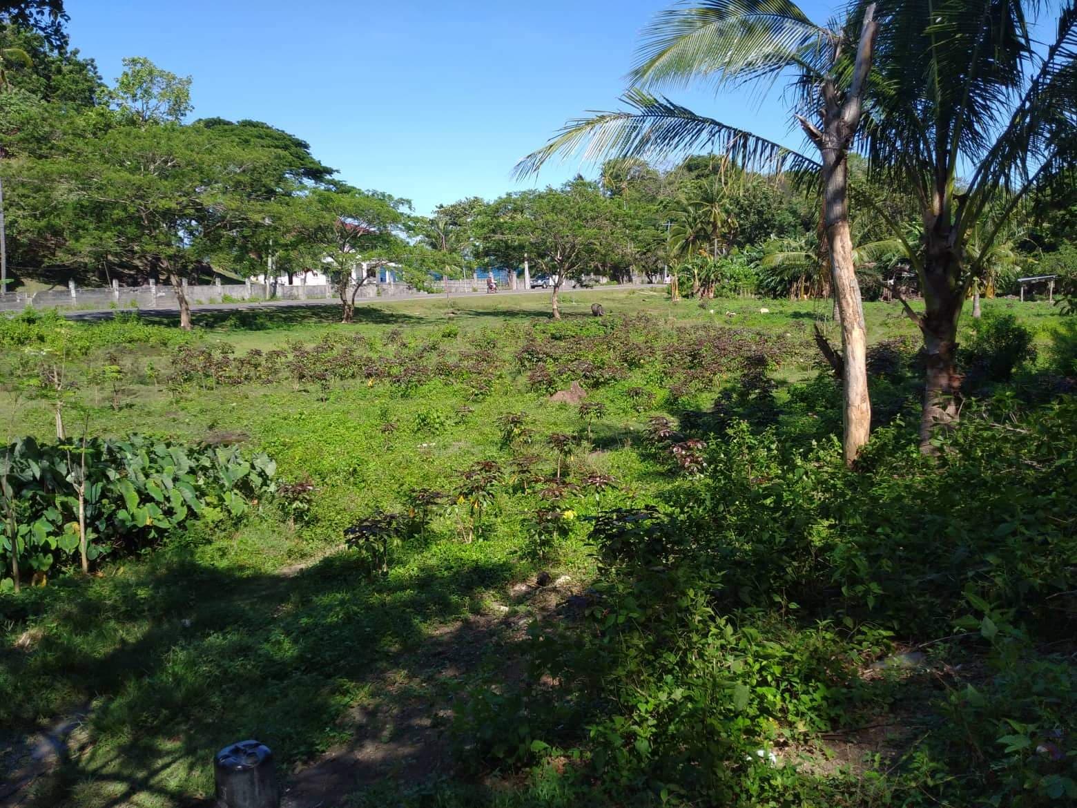 Original Certificate of Title - photo 7