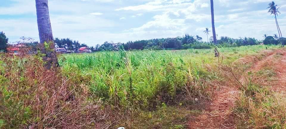 Transfer Certificate of Title - photo 3