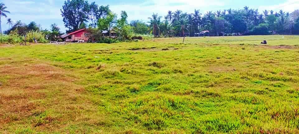 Transfer Certificate of Title - photo 1