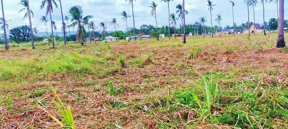 Transfer Certificate of Title - photo 4