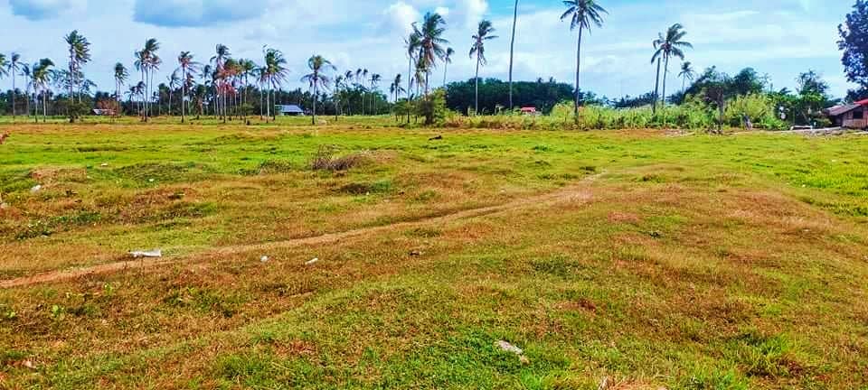 Transfer Certificate of Title - photo 2