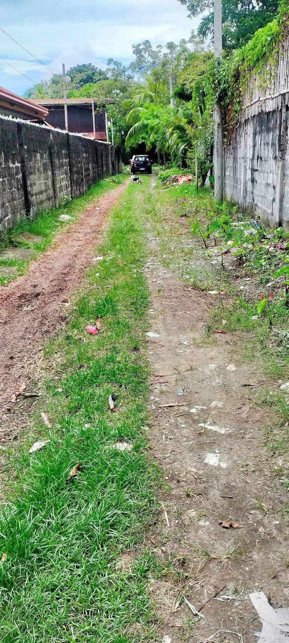 Residential Lot - photo 4