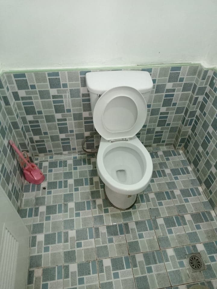 House and Lot in Sibulan, Negros Oriental! - photo 6