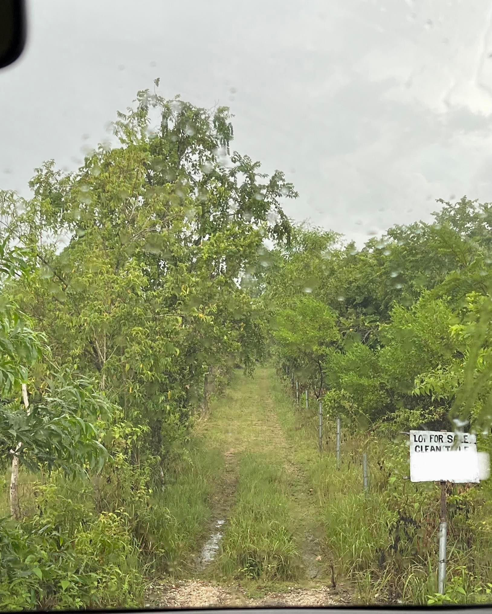 Lot Only nearby Panglao Airport - photo 5