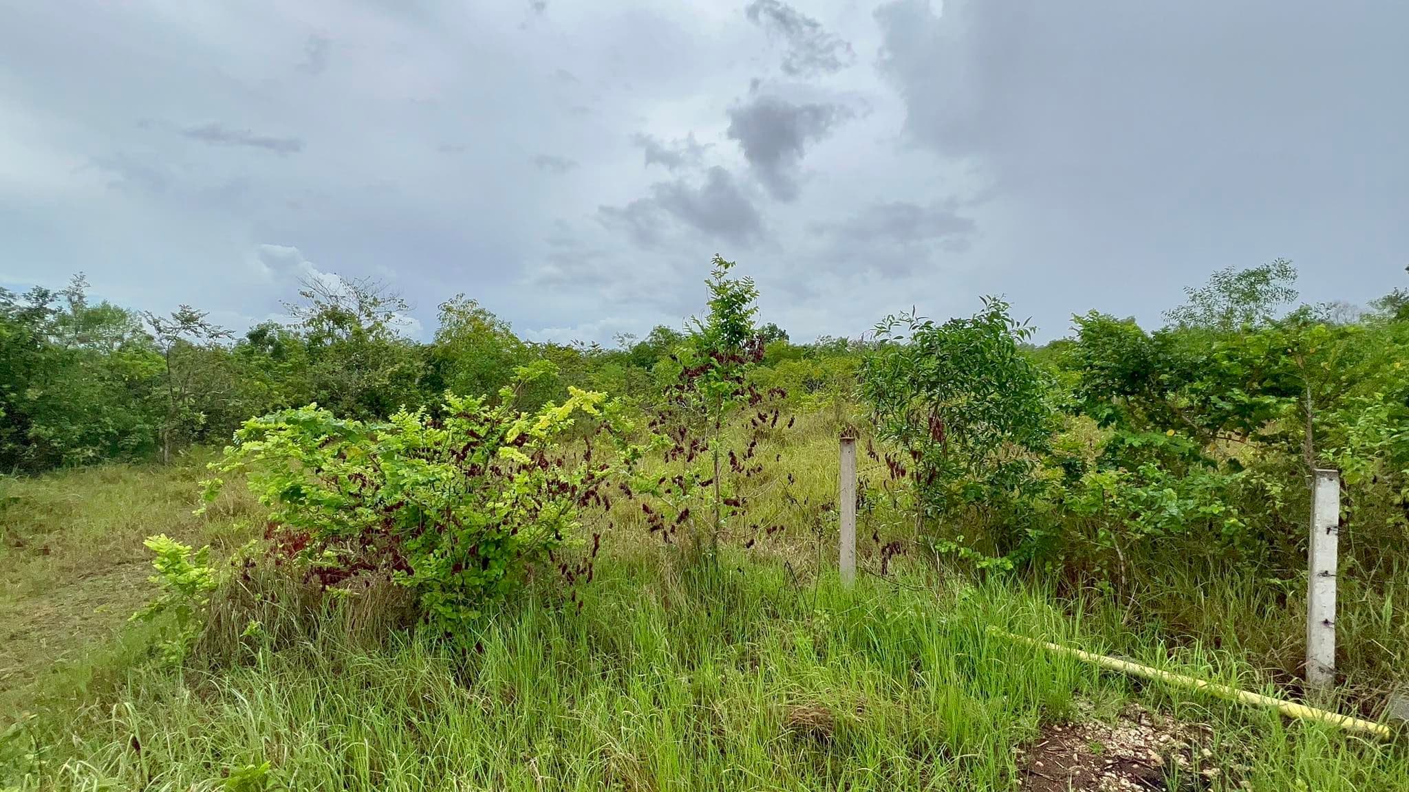 Lot Only nearby Panglao Airport - photo 2