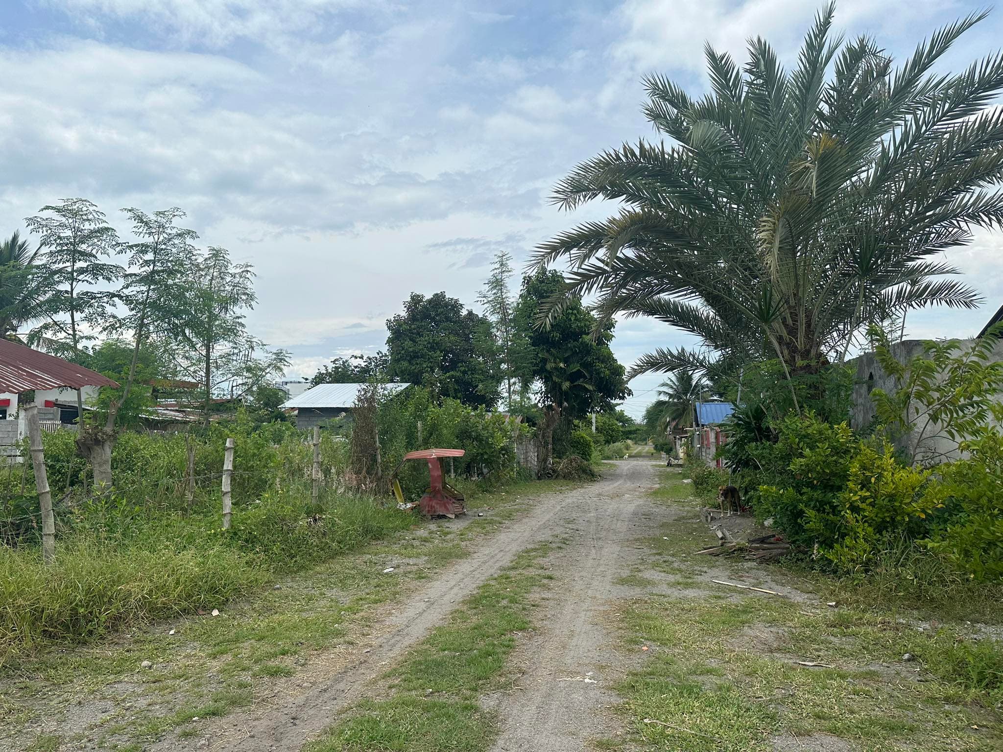 PRIMELAND Subd Residential Lot for sale 150 sqm CLEAN Titled - photo 3