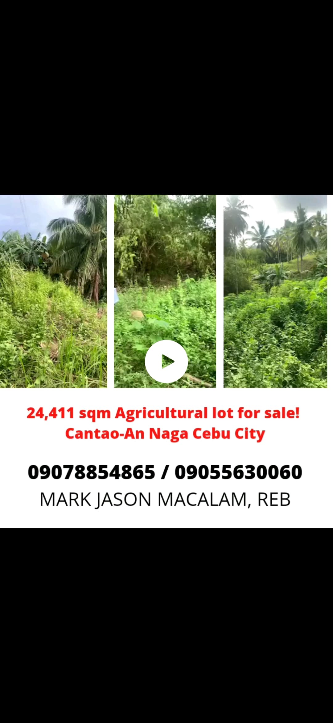 Agricultural Lot in Naga Cebu for Sale