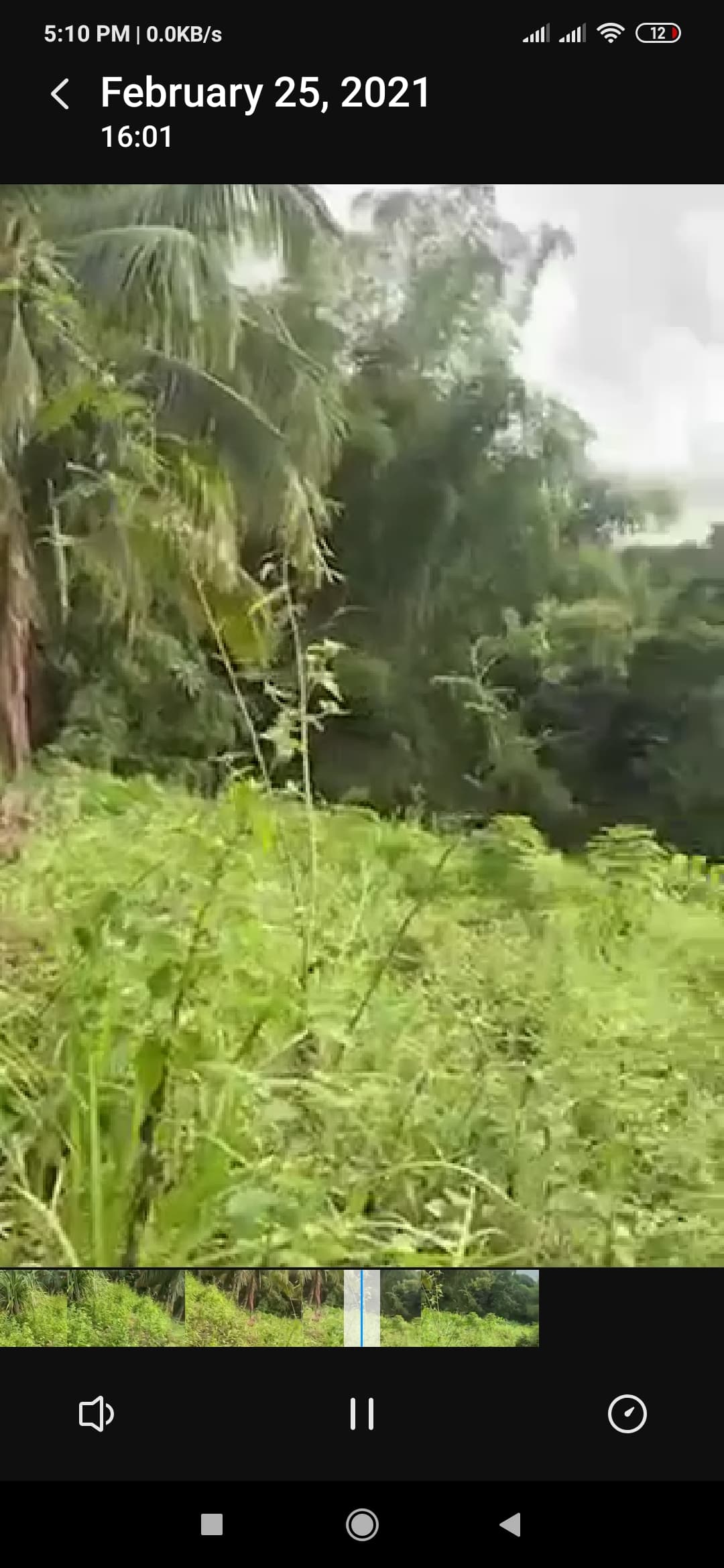 Agricultural Lot in Naga Cebu for Sale - photo 3