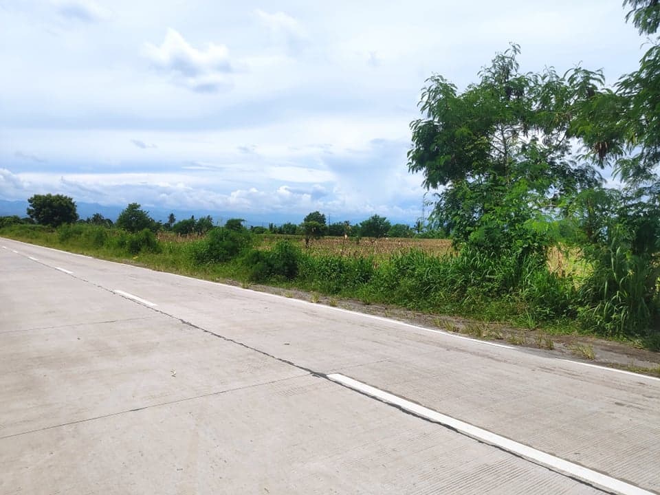 12 HECTARE PROPERTY ALONG THE ROAD CONEL GEN. SAN - photo 3