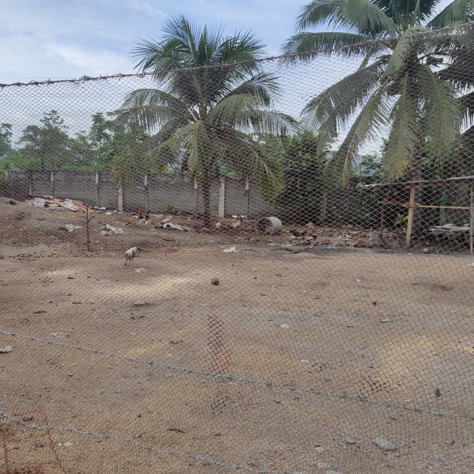 2 Has Lot with Rice Mill ,Sorter and Hammer mill - photo 4