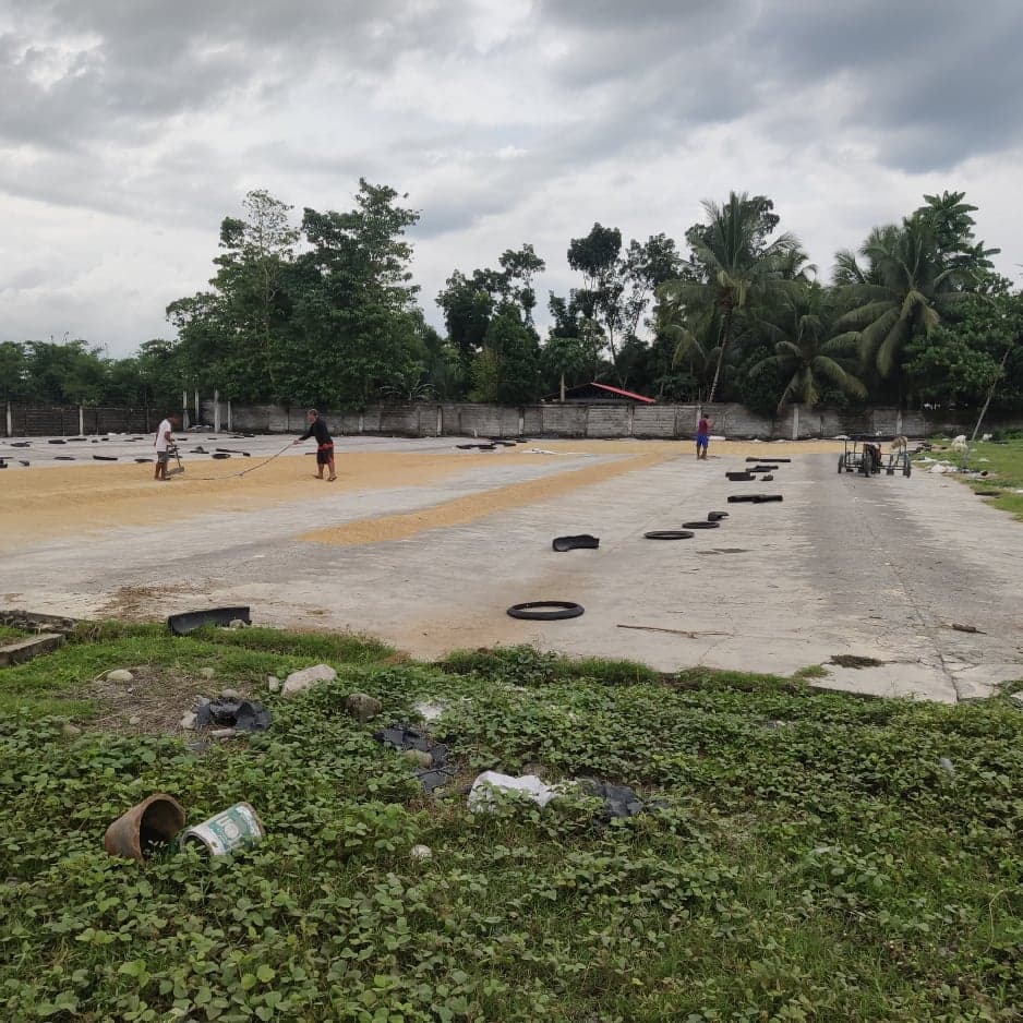 2 Has Lot with Rice Mill ,Sorter and Hammer mill - photo 6