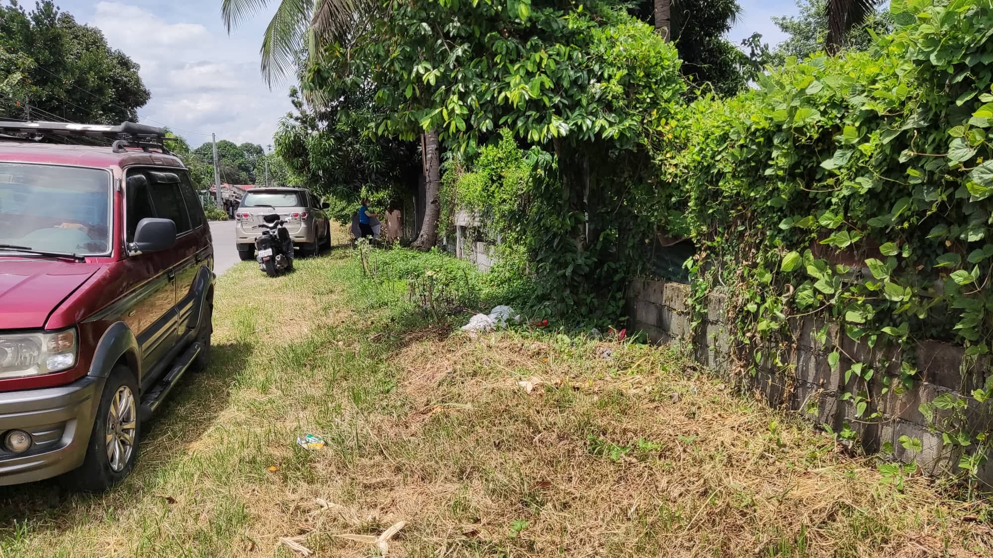 Commercial property 8646 sqm along road - photo 1