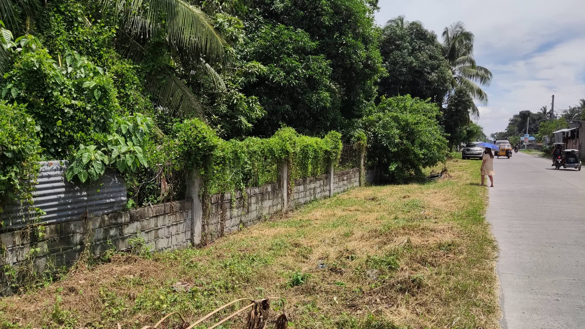 Commercial property 8646 sqm along road - photo 4