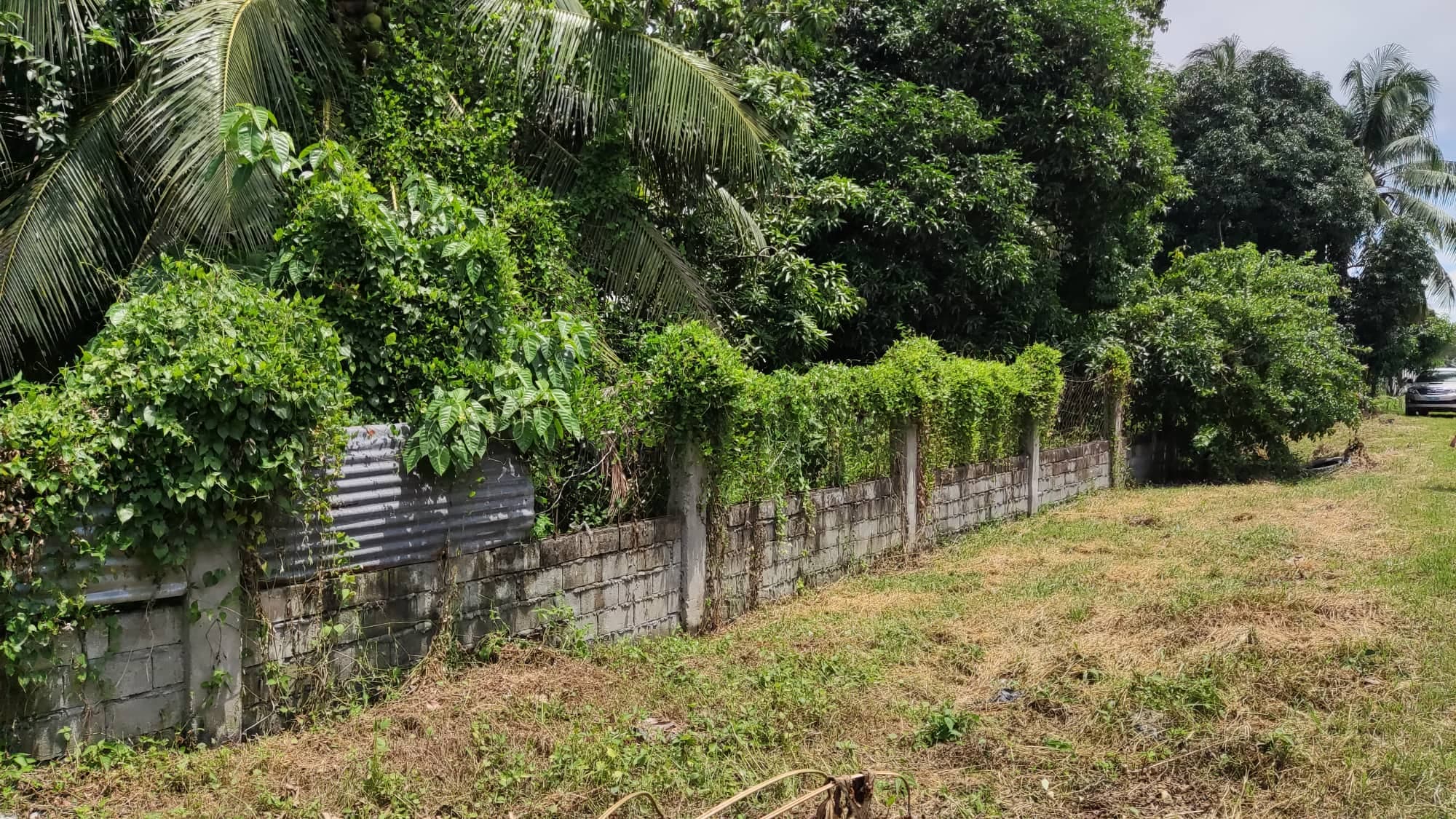 Commercial property 8646 sqm along road - photo 3