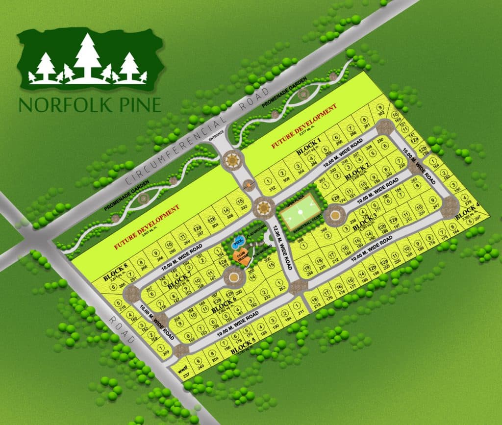 Corner Lot at Norfolk Pine Subdivision in General Santos - photo 6