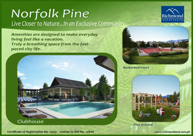 Corner Lot at Norfolk Pine Subdivision in General Santos - photo 2