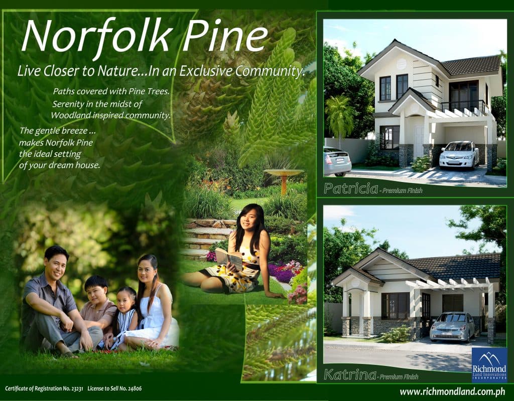 Corner Lot at Norfolk Pine Subdivision in General Santos - photo 3