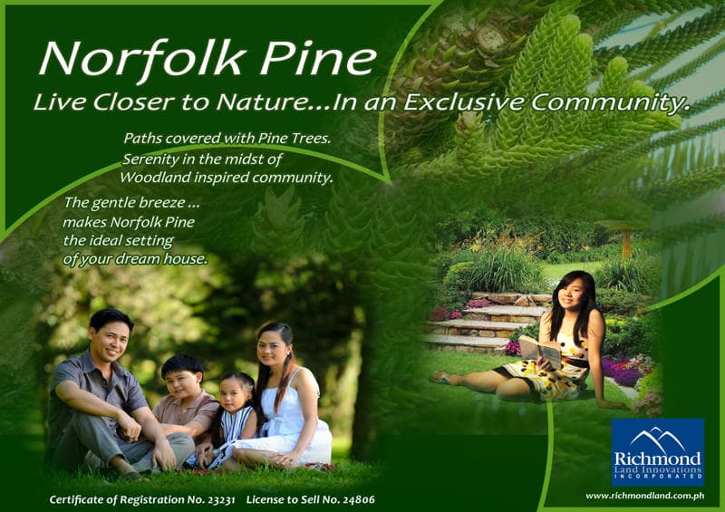 Corner Lot at Norfolk Pine Subdivision in General Santos - photo 1
