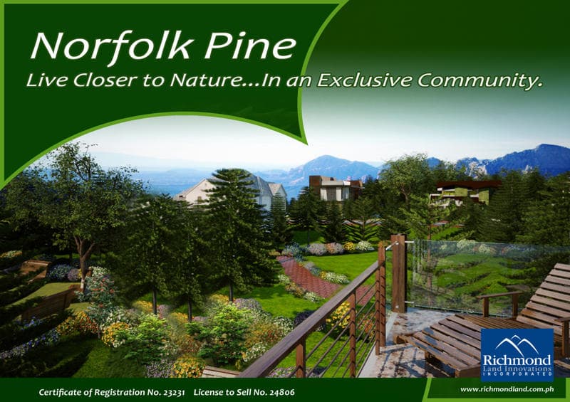 Corner Lot at Norfolk Pine Subdivision in General Santos - photo 4
