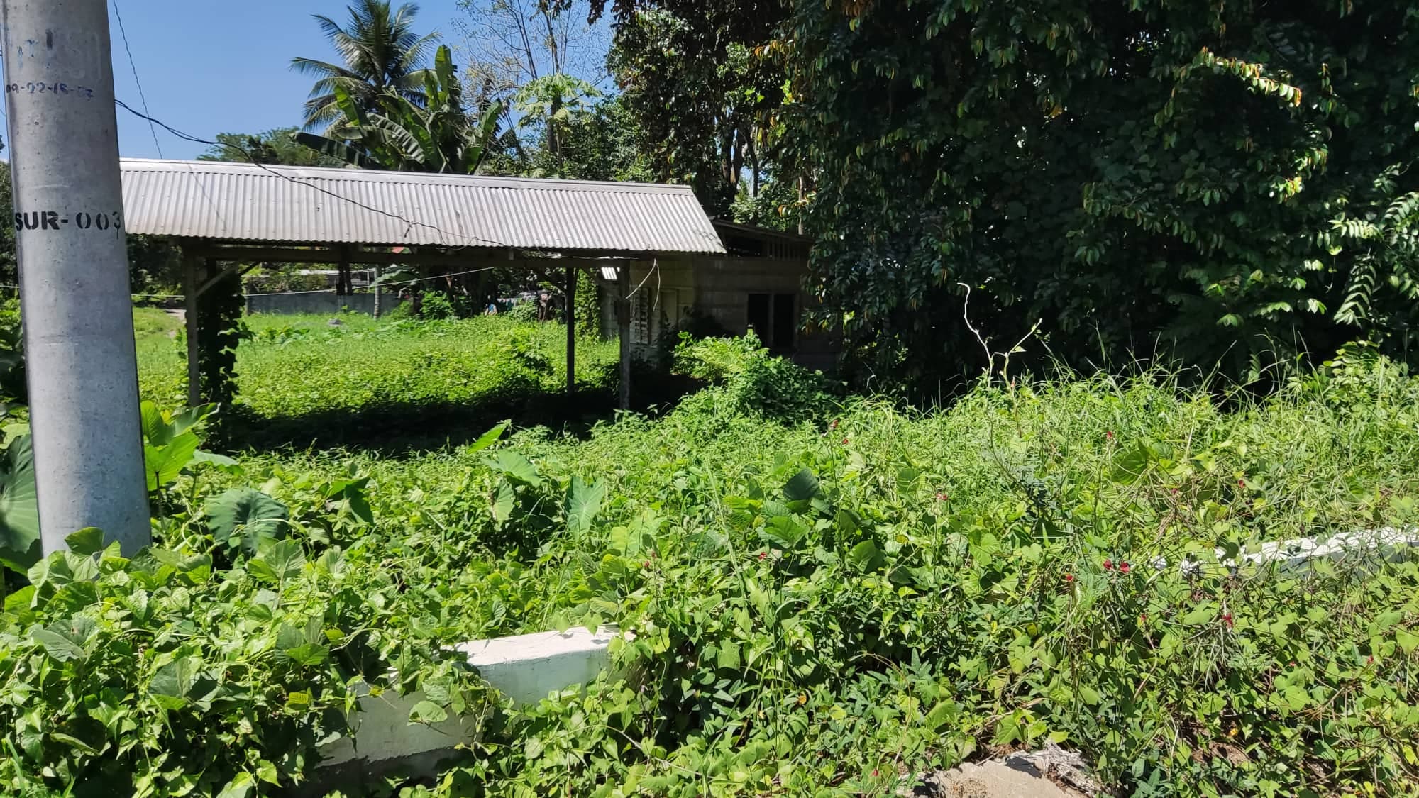 2400 sqms few meters from highway - photo 2