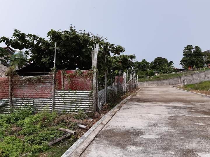 Residential Lot inside subdivision in La Vista Del Mar Liloan - photo 4
