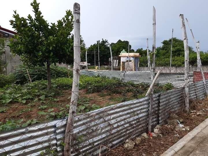 Residential Lot inside subdivision in La Vista Del Mar Liloan