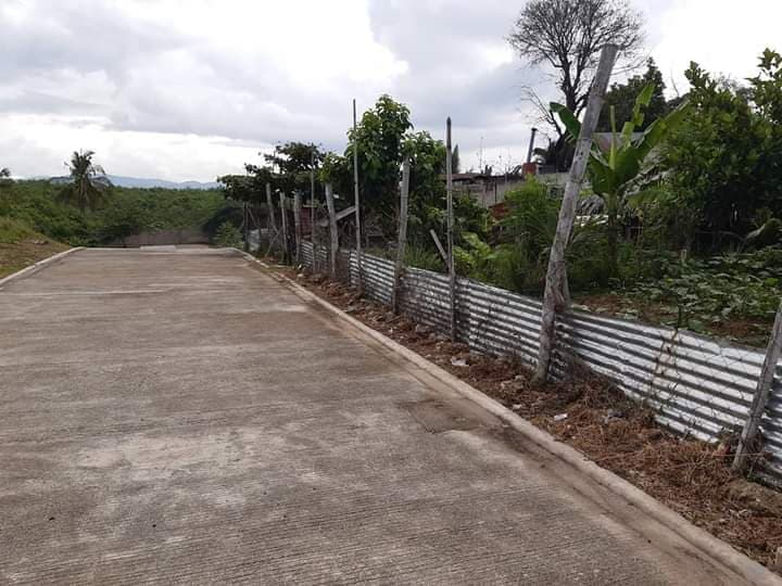 Residential Lot inside subdivision in La Vista Del Mar Liloan - photo 3