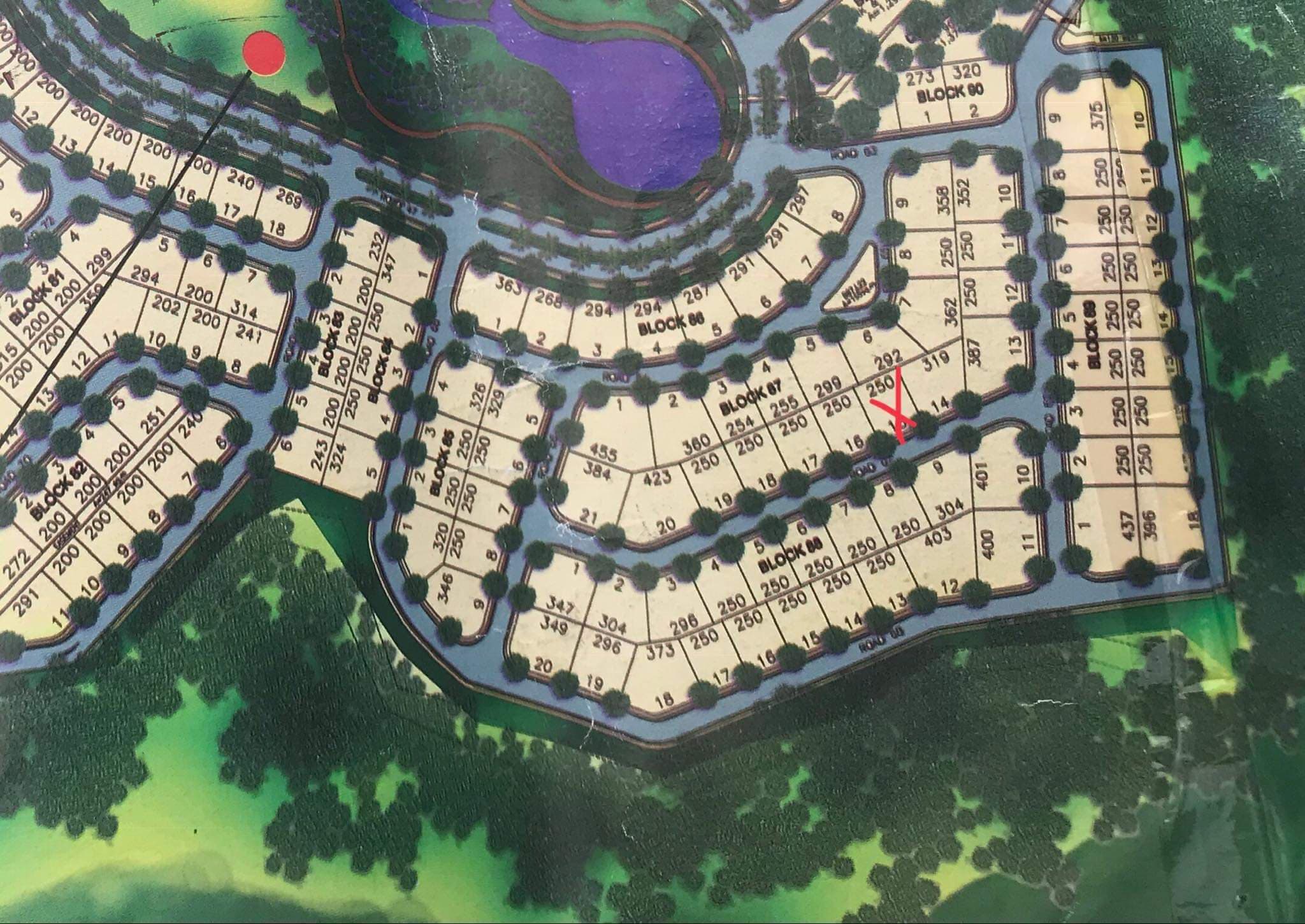 Amiya Resort Residences - photo 2