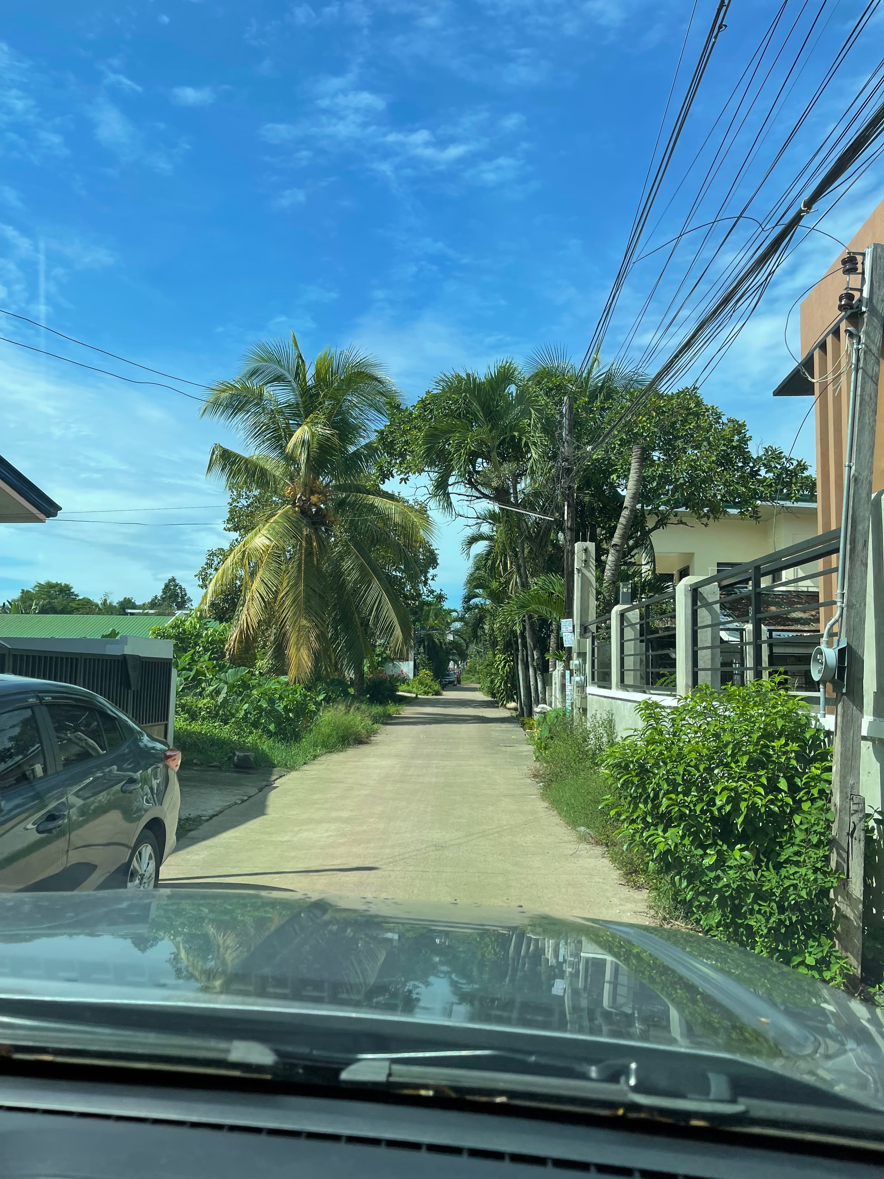 LOT FOR SALE at Aluba, CDO - photo 5