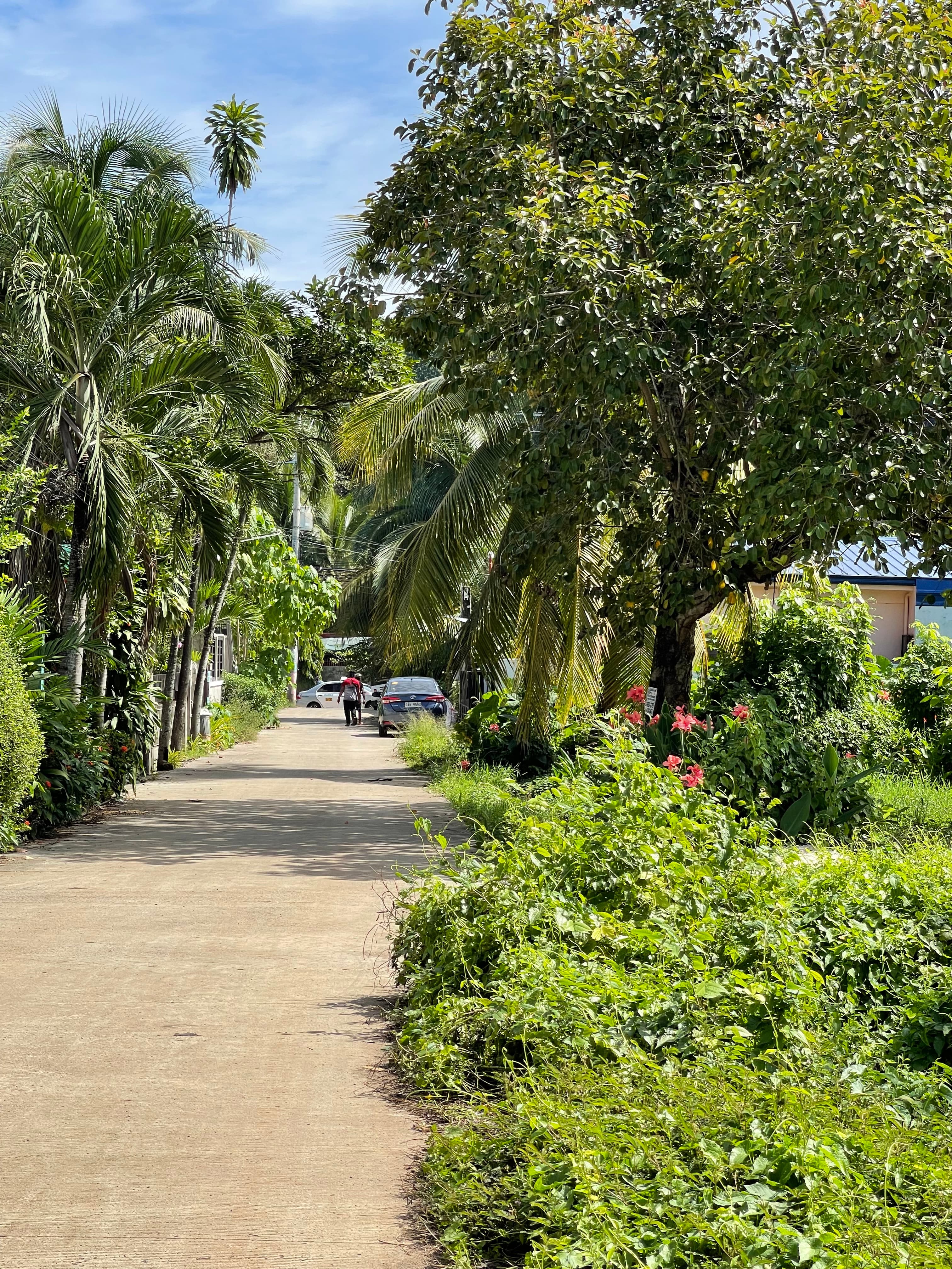 LOT FOR SALE at Aluba, CDO - photo 4