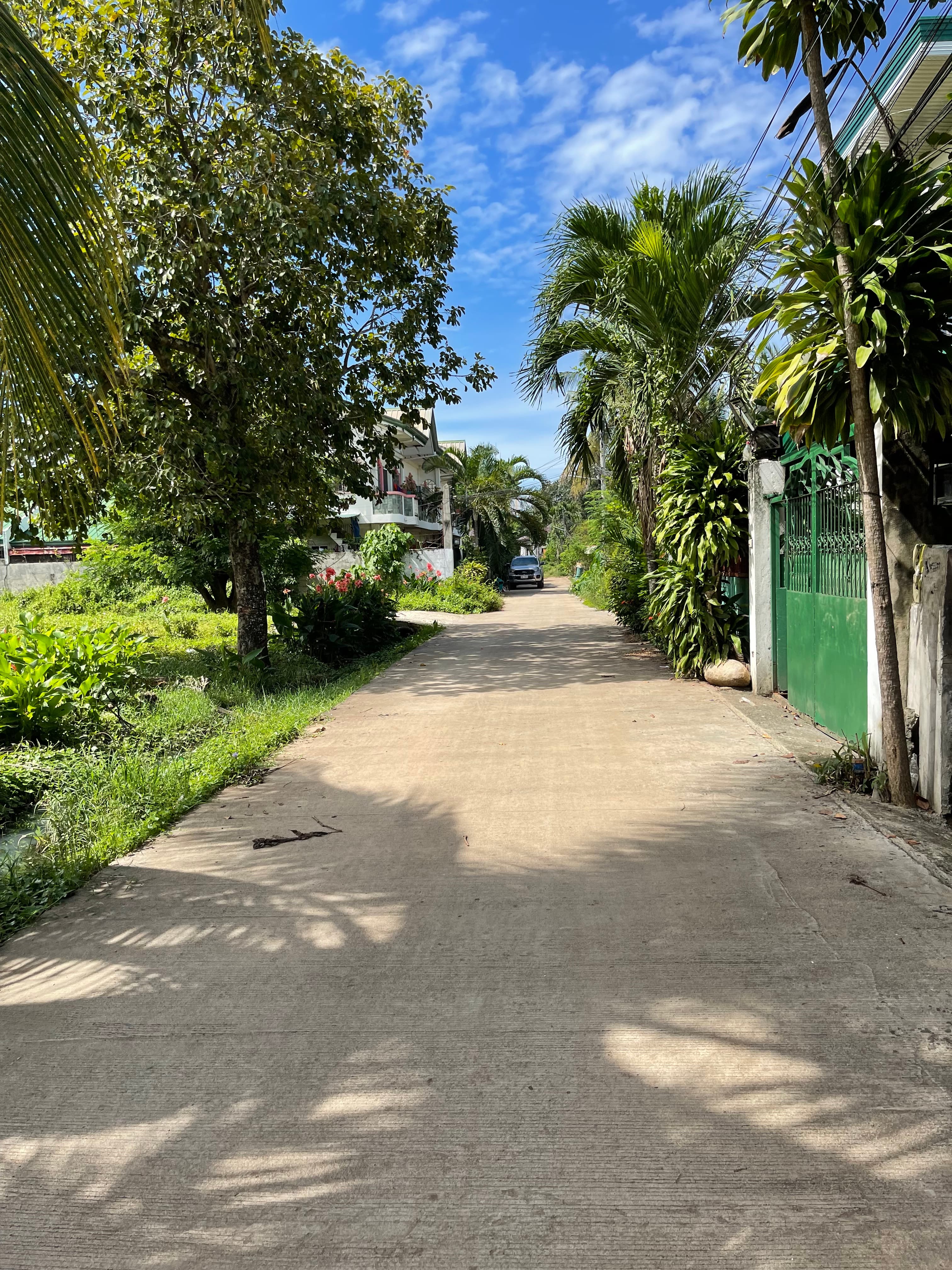 LOT FOR SALE at Aluba, CDO - photo 2