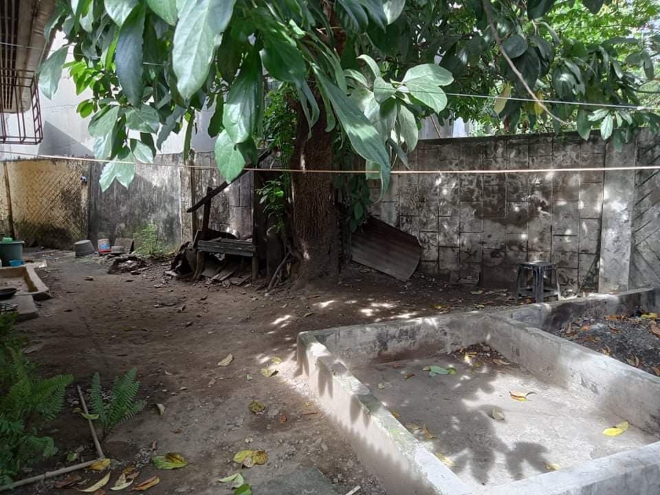 ONE STOREY OLD HOUSE FOR SALE - photo 7