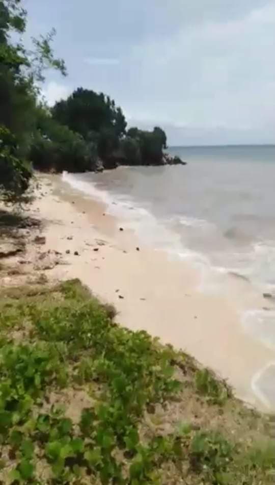 white sand beach lot for sale - photo 5