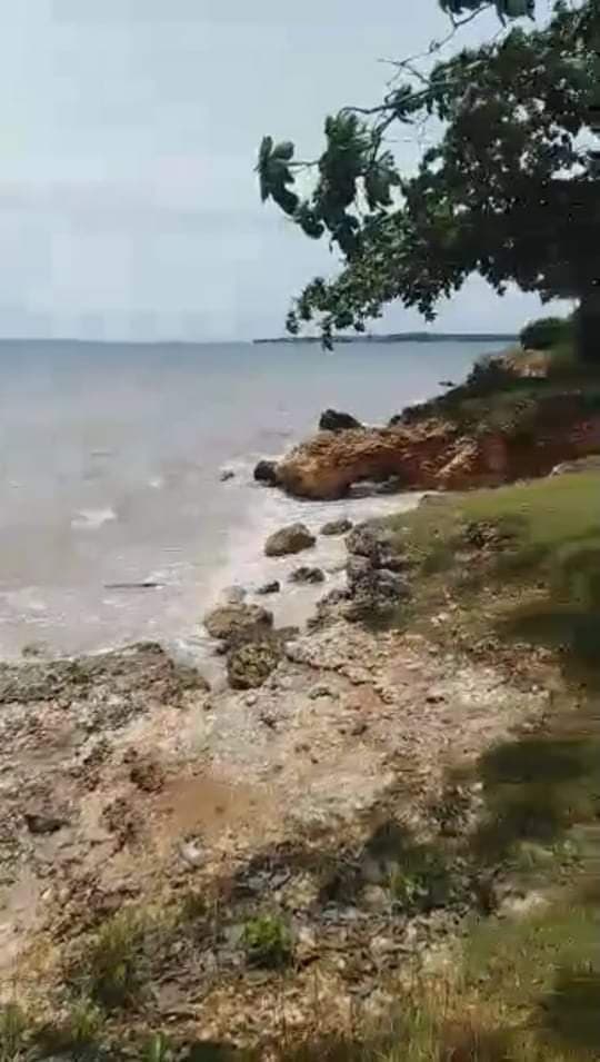 white sand beach lot for sale - photo 3